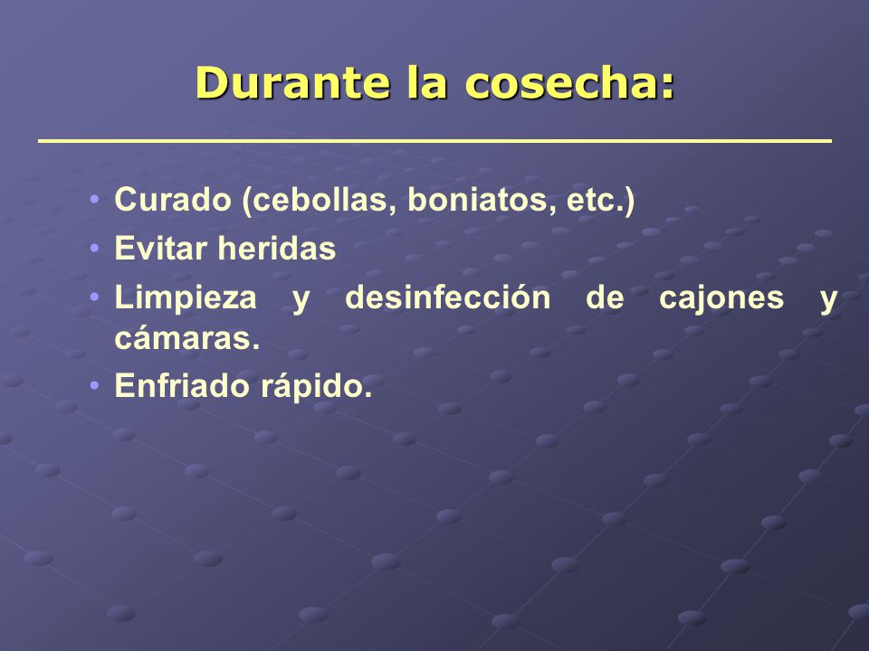Durante la cosecha: Curado (cebollas, boniatos, etc.) Evitar heridas