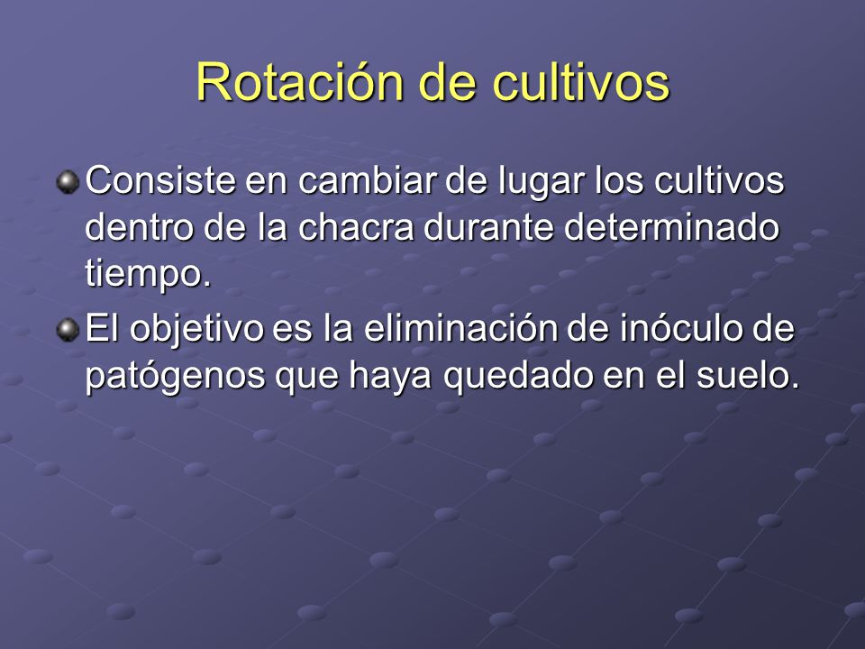 Rotación de cultivos Consiste en cambiar de lugar los cultivos dentro de la chacra durante determinado tiempo.