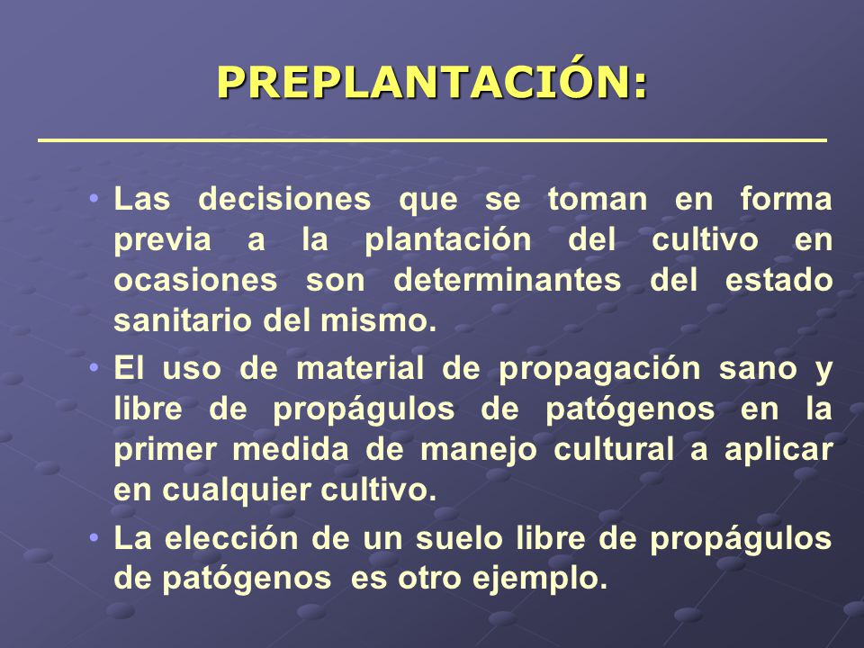 PREPLANTACIÓN: Las decisiones que se toman en forma previa a la plantación del cultivo en ocasiones son determinantes del estado sanitario del mismo.