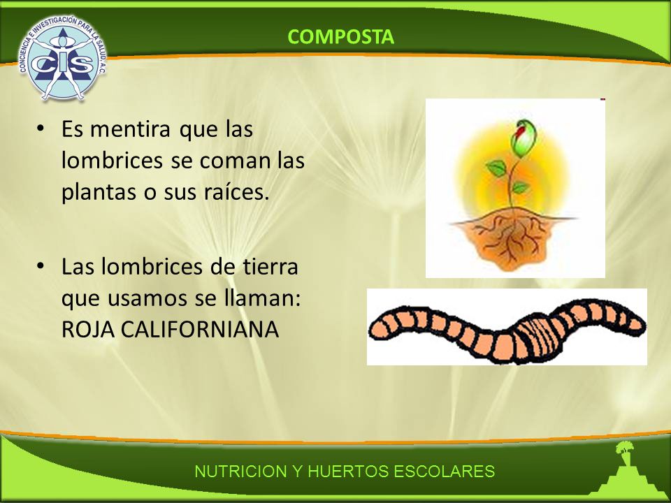 Es mentira que las lombrices se coman las plantas o sus raíces.