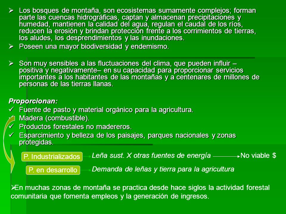 Los bosques de montaña, son ecosistemas sumamente complejos; forman parte las cuencas hidrográficas, captan y almacenan precipitaciones y humedad, mantienen la calidad del agua, regulan el caudal de los ríos, reducen la erosión y brindan protección frente a los corrimientos de tierras, los aludes, los desprendimientos y las inundaciones.