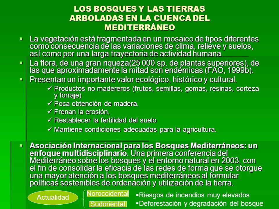 LOS BOSQUES Y LAS TIERRAS ARBOLADAS EN LA CUENCA DEL MEDITERRÁNEO