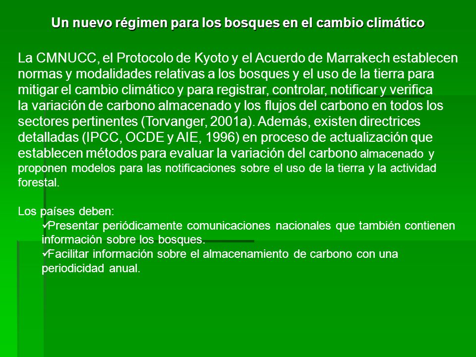 Un nuevo régimen para los bosques en el cambio climático