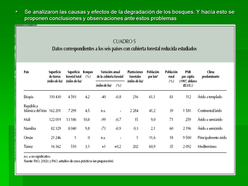 Se analizaron las causas y efectos de la degradación de los bosques