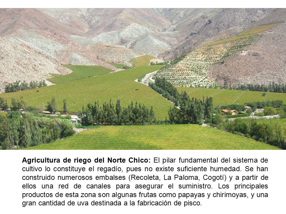 Agricultura de riego del Norte Chico: El pilar fundamental del sistema de cultivo lo constituye el regadío, pues no existe suficiente humedad.