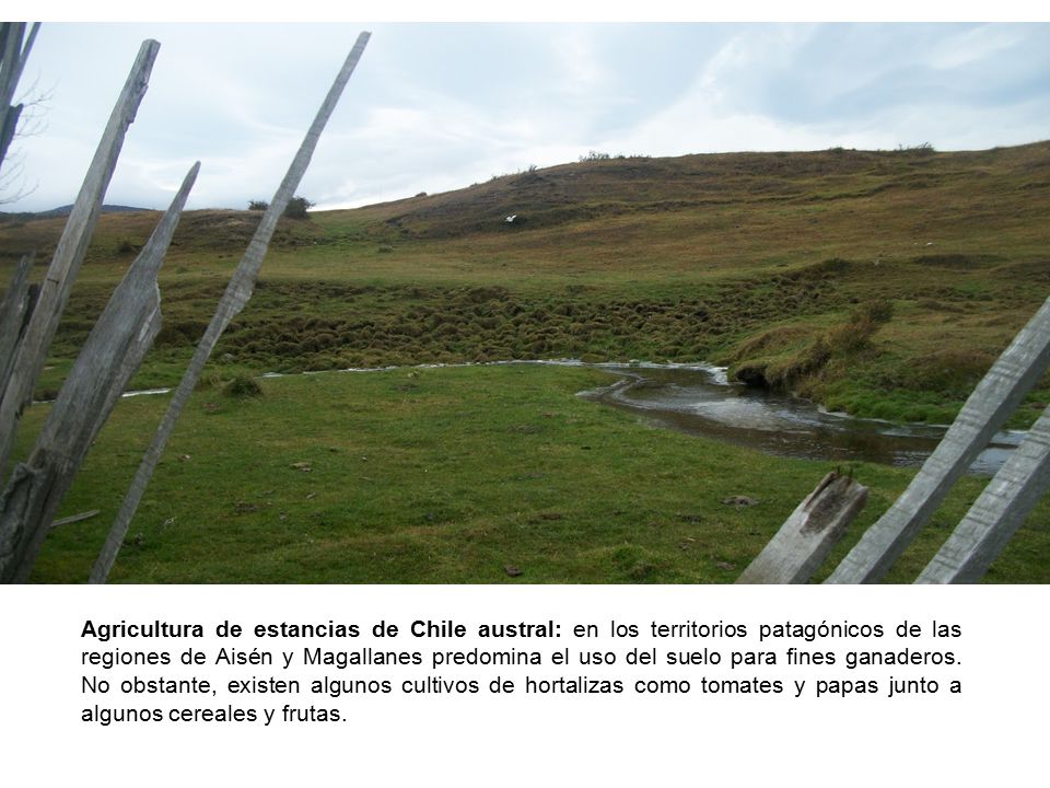 Agricultura de estancias de Chile austral: en los territorios patagónicos de las regiones de Aisén y Magallanes predomina el uso del suelo para fines ganaderos.