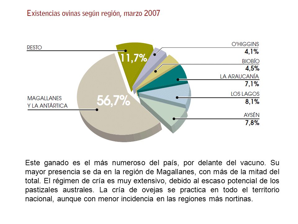 Este ganado es el más numeroso del país, por delante del vacuno