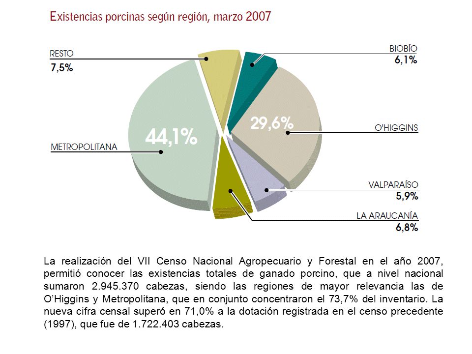 La realización del VII Censo Nacional Agropecuario y Forestal en el año 2007, permitió conocer las existencias totales de ganado porcino, que a nivel nacional sumaron cabezas, siendo las regiones de mayor relevancia las de O’Higgins y Metropolitana, que en conjunto concentraron el 73,7% del inventario.
