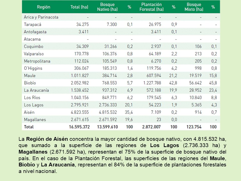 La Región de Aisén concentra la mayor cantidad de bosque nativo, con 4