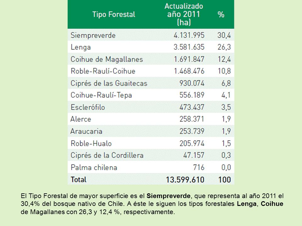 El Tipo Forestal de mayor superficie es el Siempreverde, que representa al año 2011 el 30,4% del bosque nativo de Chile.