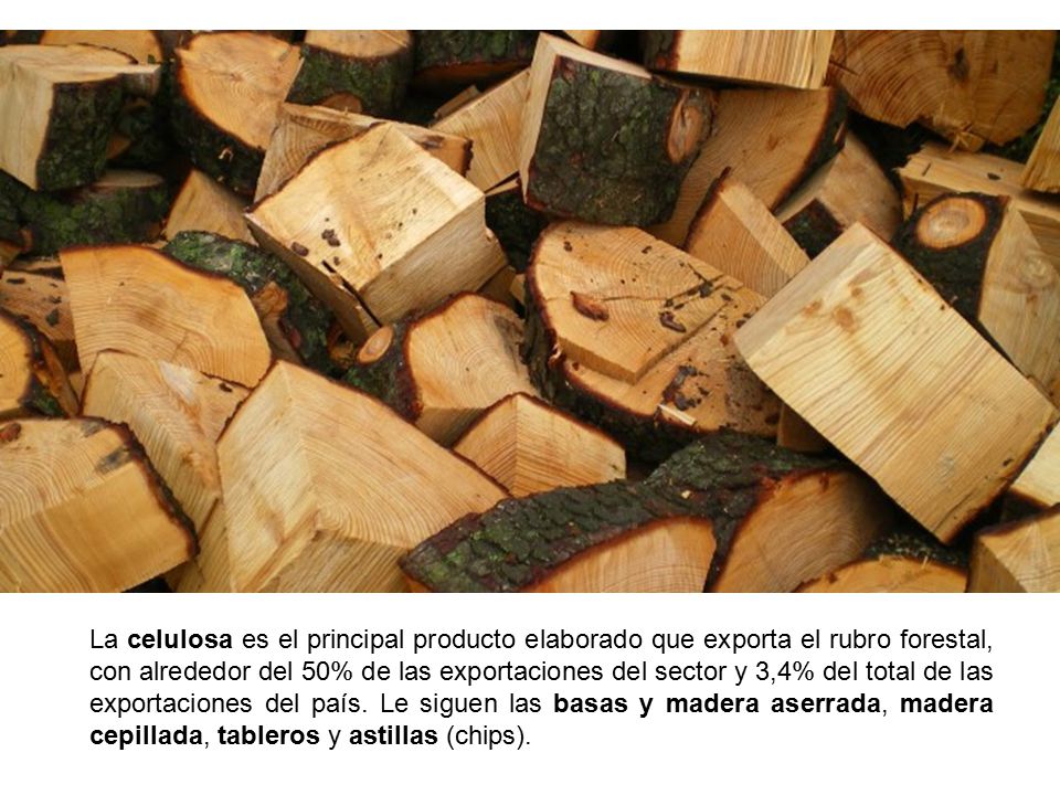 La celulosa es el principal producto elaborado que exporta el rubro forestal, con alrededor del 50% de las exportaciones del sector y 3,4% del total de las exportaciones del país.