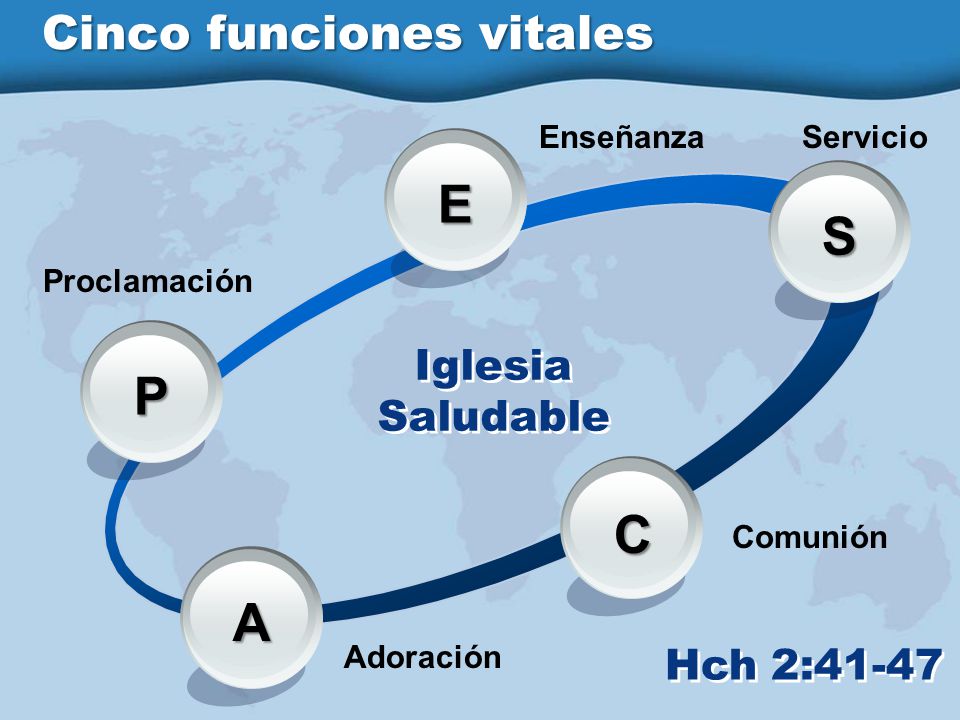 E S P C A Cinco funciones vitales Iglesia Saludable Hch 2:41-47