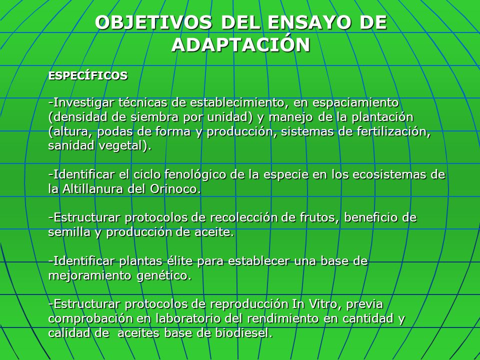 OBJETIVOS DEL ENSAYO DE ADAPTACIÓN