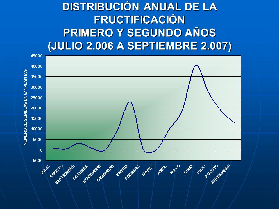 DISTRIBUCIÓN ANUAL DE LA FRUCTIFICACIÓN PRIMERO Y SEGUNDO AÑOS (JULIO A SEPTIEMBRE 2.007)