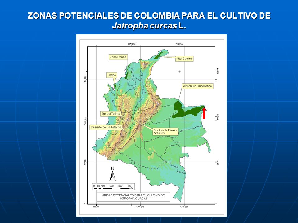 ZONAS POTENCIALES DE COLOMBIA PARA EL CULTIVO DE Jatropha curcas L.