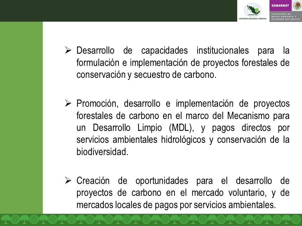 Desarrollo de capacidades institucionales para la formulación e implementación de proyectos forestales de conservación y secuestro de carbono.