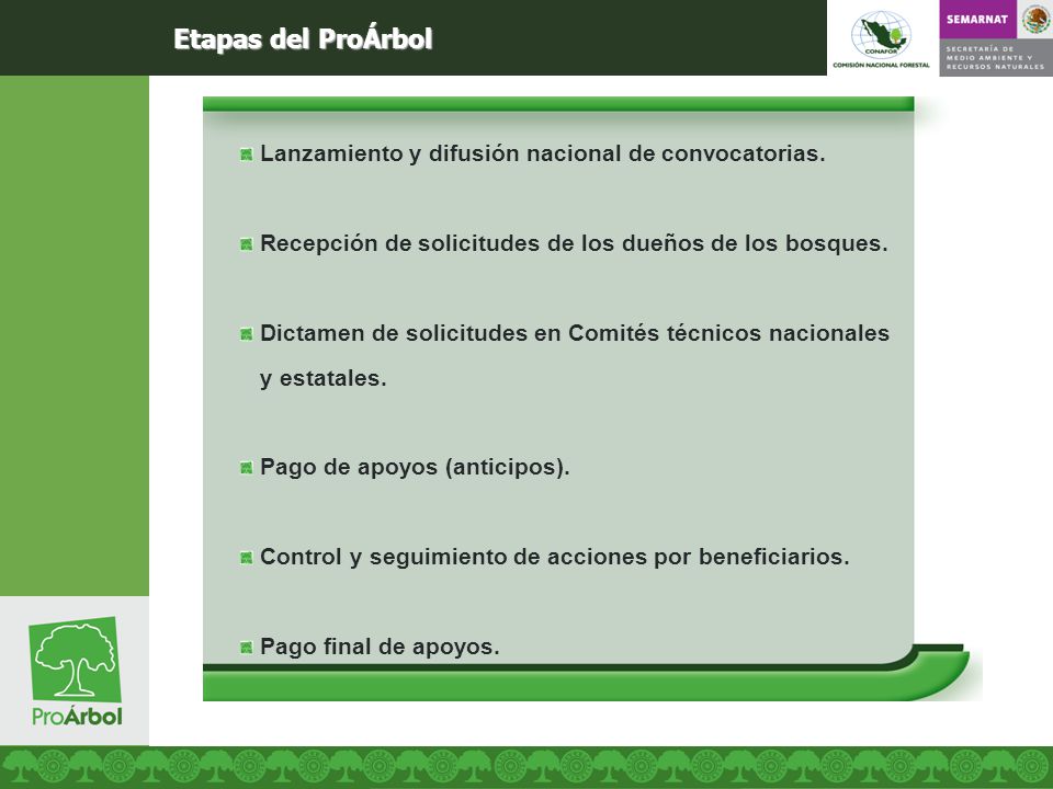 Etapas del ProÁrbol Lanzamiento y difusión nacional de convocatorias.