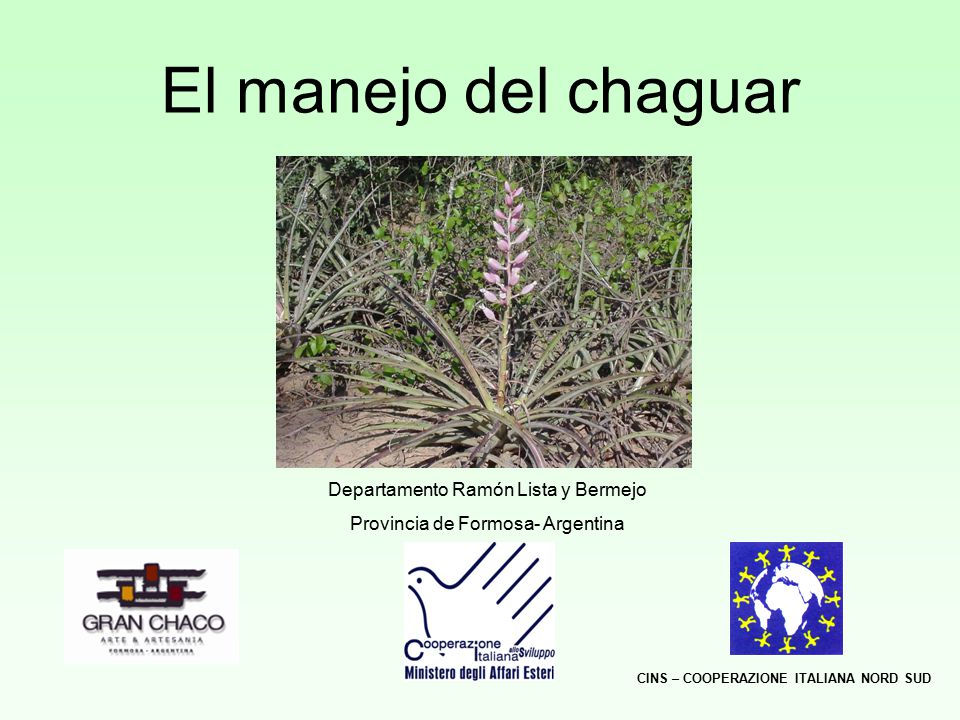El manejo del chaguar Departamento Ramón Lista y Bermejo