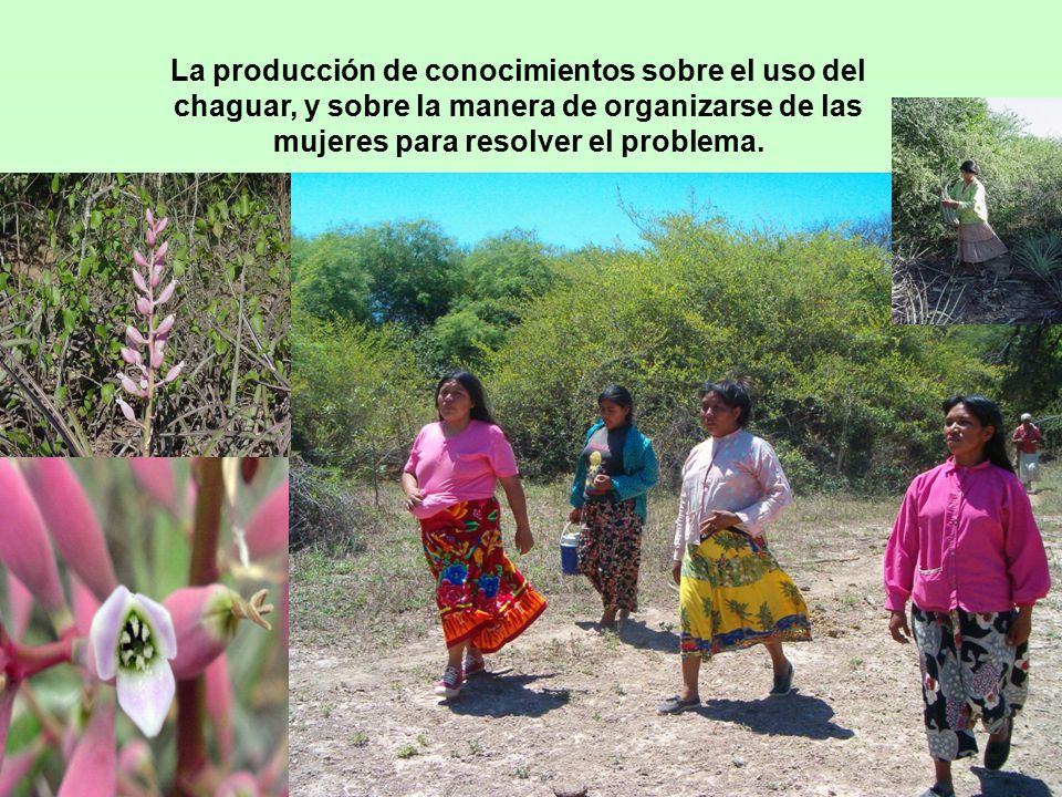 La producción de conocimientos sobre el uso del chaguar, y sobre la manera de organizarse de las mujeres para resolver el problema.
