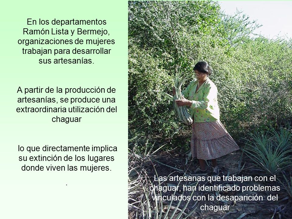 En los departamentos Ramón Lista y Bermejo, organizaciones de mujeres trabajan para desarrollar sus artesanías.