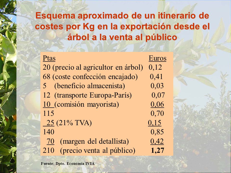 Esquema aproximado de un itinerario de costes por Kg en la exportación desde el árbol a la venta al público