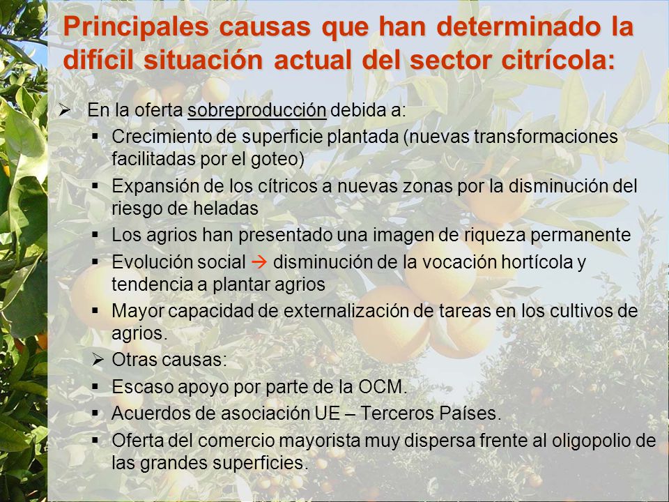 Principales causas que han determinado la difícil situación actual del sector citrícola: