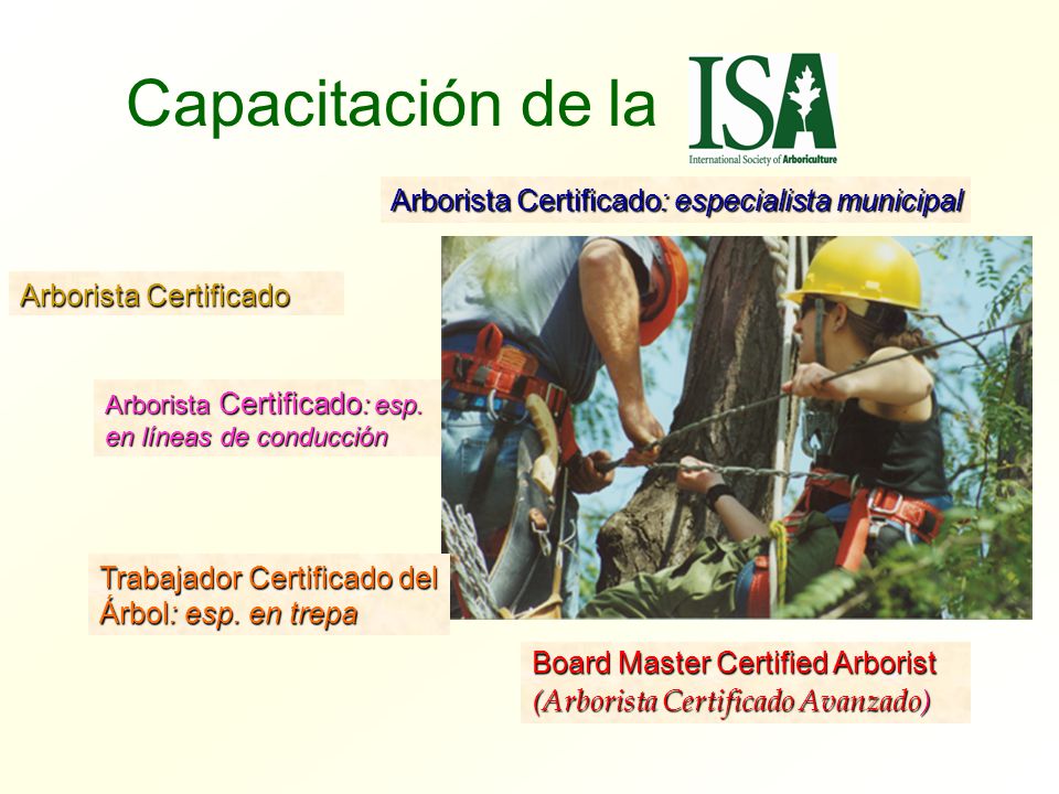 Capacitación de la Arborista Certificado: especialista municipal