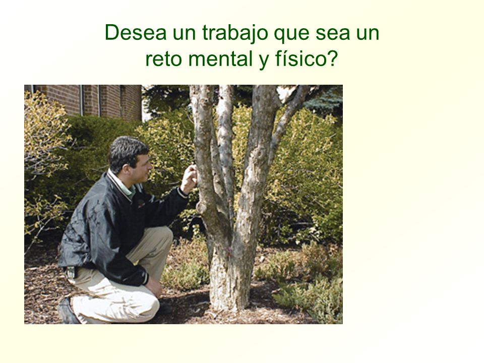 Desea un trabajo que sea un reto mental y físico