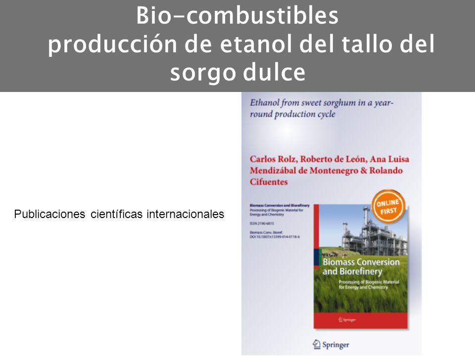 Bio-combustibles producción de etanol del tallo del sorgo dulce