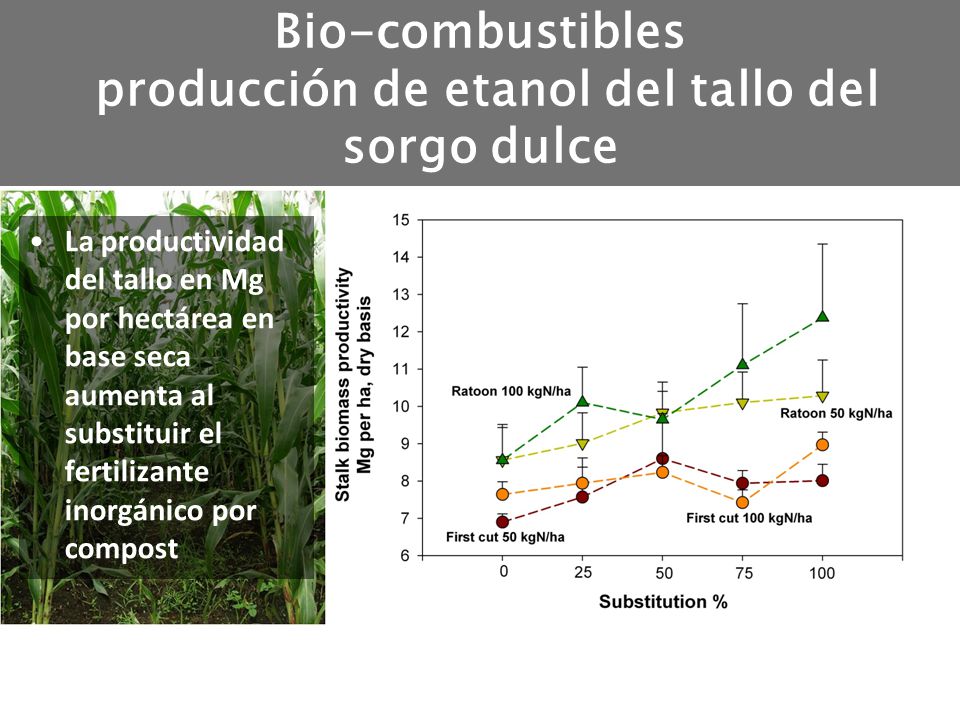 Bio-combustibles producción de etanol del tallo del sorgo dulce