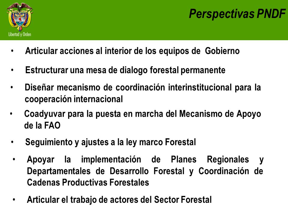 Perspectivas PNDF Articular acciones al interior de los equipos de Gobierno. Estructurar una mesa de dialogo forestal permanente.