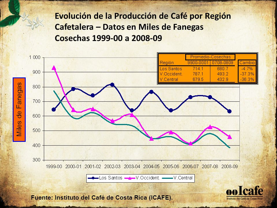 Evolución de la Producción de Café por Región Cafetalera – Datos en Miles de Fanegas Cosechas a