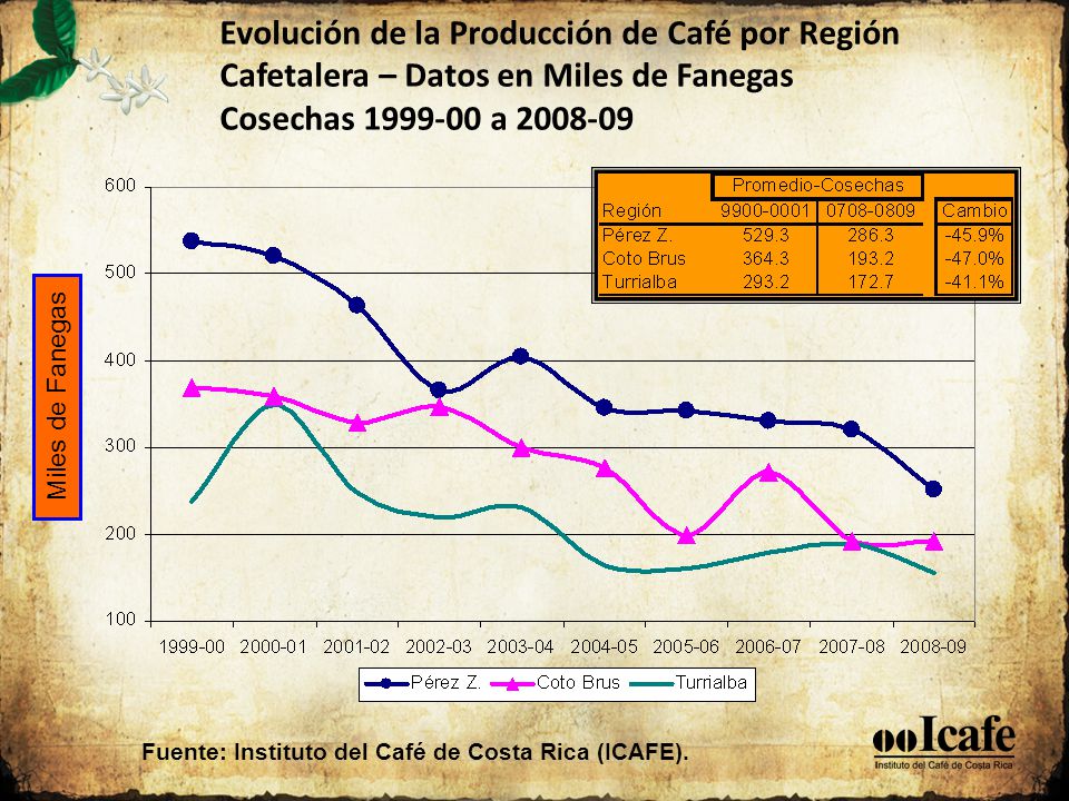Evolución de la Producción de Café por Región Cafetalera – Datos en Miles de Fanegas Cosechas a