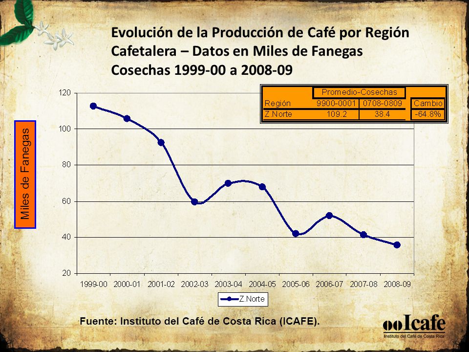 Evolución de la Producción de Café por Región Cafetalera – Datos en Miles de Fanegas Cosechas a