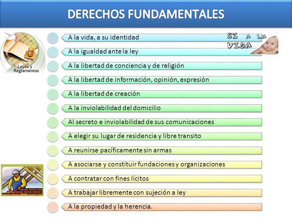 DERECHOS FUNDAMENTALES
