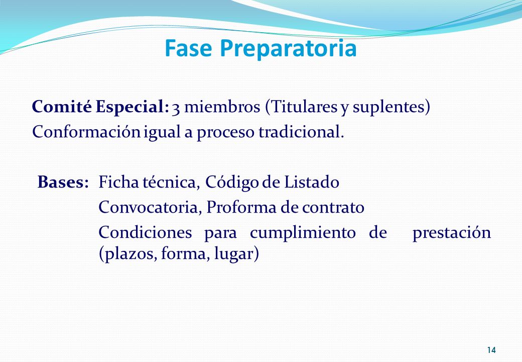 Fase Preparatoria Comité Especial: 3 miembros (Titulares y suplentes)