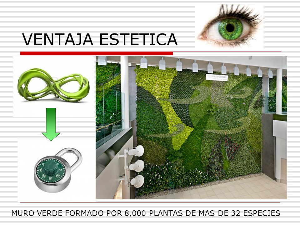 VENTAJA ESTETICA MURO VERDE FORMADO POR 8,000 PLANTAS DE MAS DE 32 ESPECIES