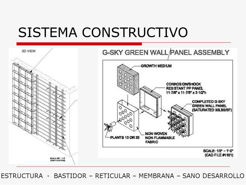SISTEMA CONSTRUCTIVO ESTRUCTURA - BASTIDOR – RETICULAR – MEMBRANA – SANO DESARROLLO