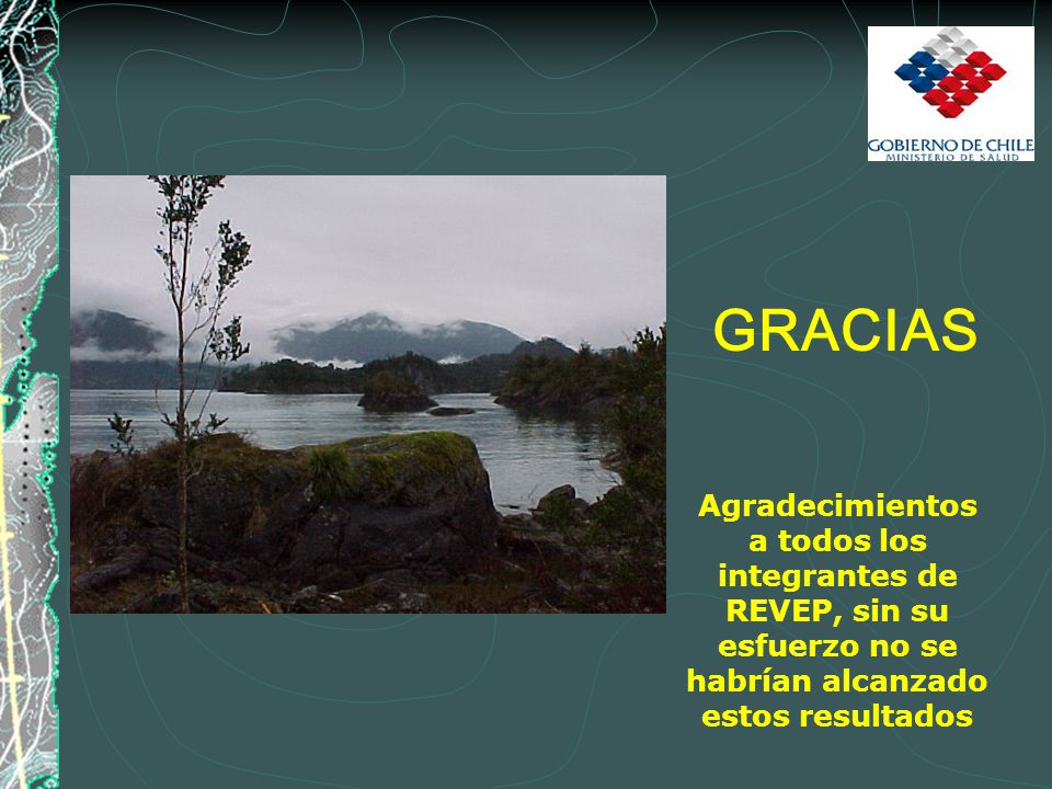 GRACIAS Agradecimientos a todos los integrantes de REVEP, sin su esfuerzo no se habrían alcanzado estos resultados.