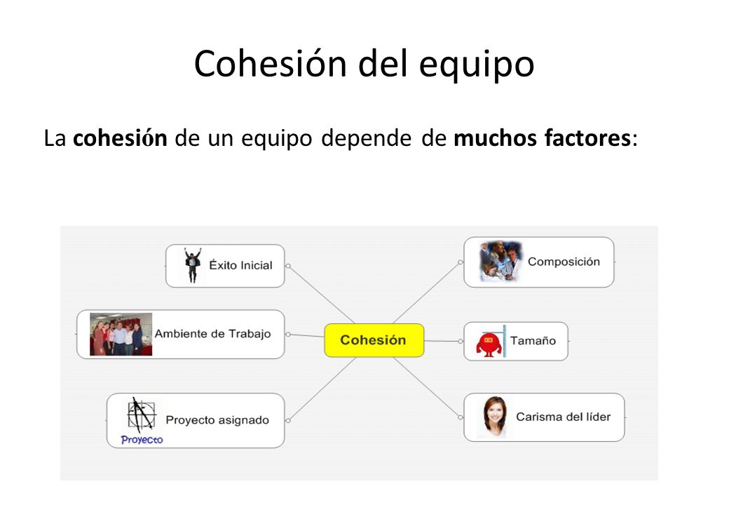 Cohesión del equipo La cohesión de un equipo depende de muchos factores: