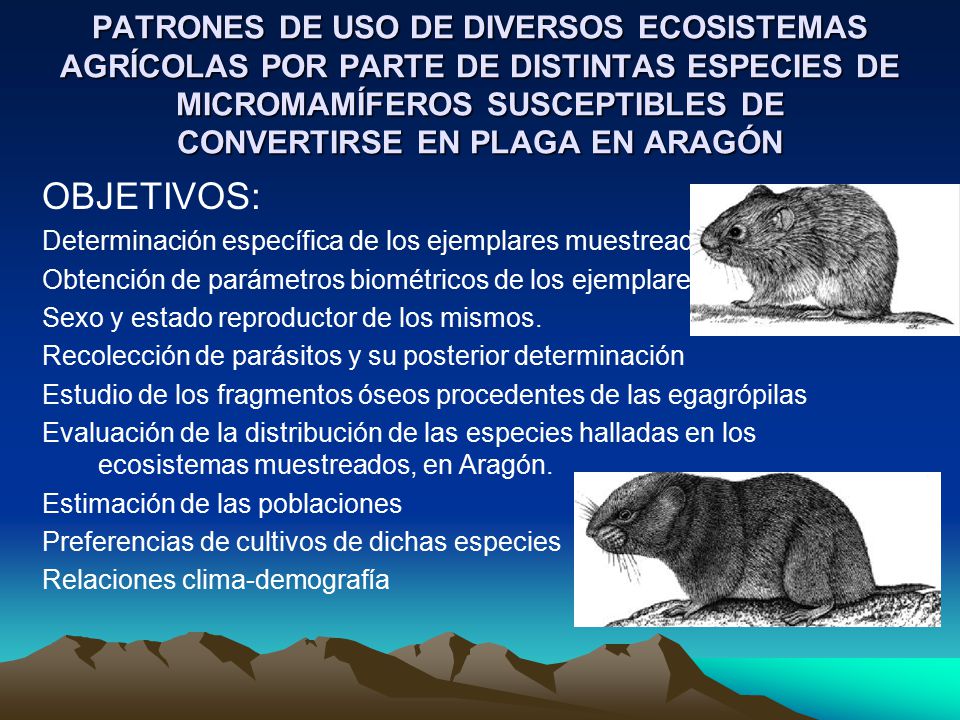 PATRONES DE USO DE DIVERSOS ECOSISTEMAS AGRÍCOLAS POR PARTE DE DISTINTAS ESPECIES DE MICROMAMÍFEROS SUSCEPTIBLES DE CONVERTIRSE EN PLAGA EN ARAGÓN