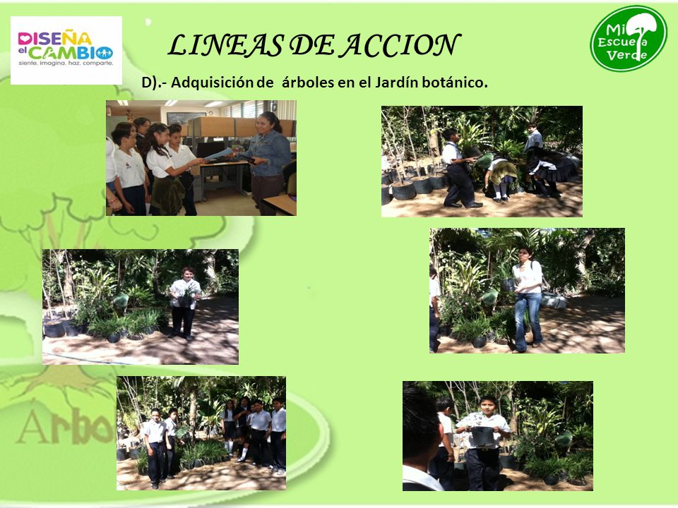 LINEAS DE ACCION D).- Adquisición de árboles en el Jardín botánico.