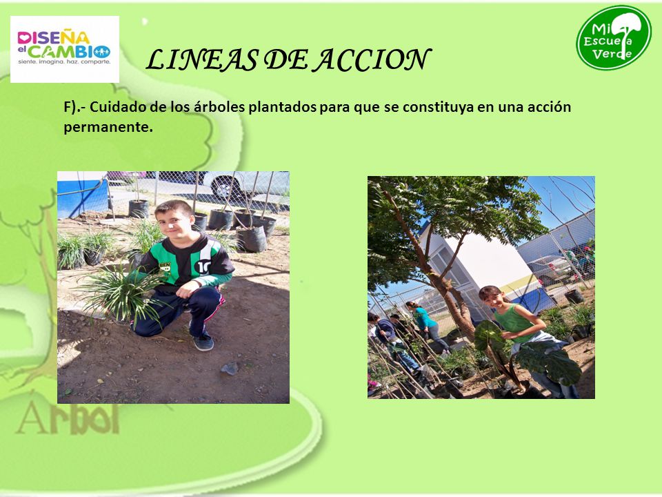 LINEAS DE ACCION F).- Cuidado de los árboles plantados para que se constituya en una acción permanente.