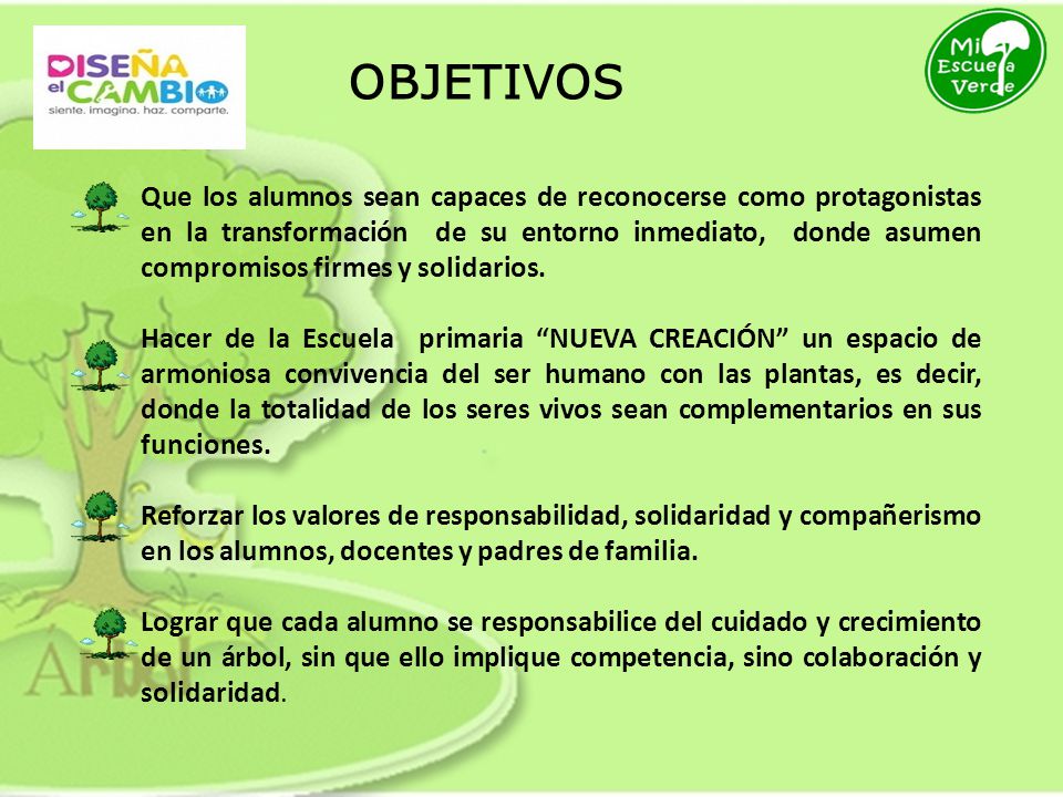 RESPONSABLE DEL PROYECTO: DIRECTORA DE LA ESCUELA: - ppt video online  descargar