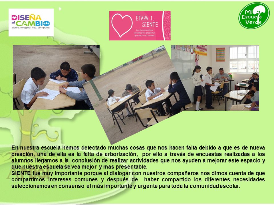 En nuestra escuela hemos detectado muchas cosas que nos hacen falta debido a que es de nueva creación, una de ella es la falta de arborización, por ello a través de encuestas realizadas a los alumnos llegamos a la conclusión de realizar actividades que nos ayuden a mejorar este espacio y que nuestra escuela se vea mejor y mas presentable.