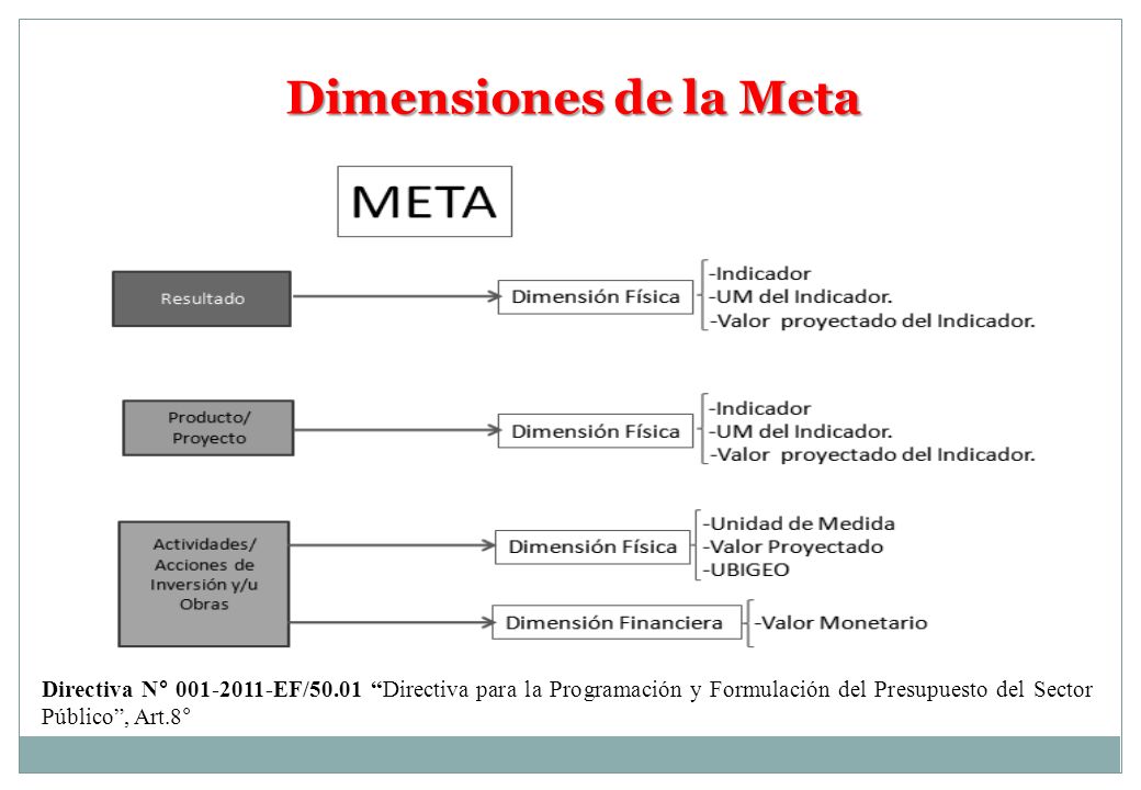 Dimensiones de la Meta Directiva N° EF/50.01 Directiva para la Programación y Formulación del Presupuesto del Sector Público , Art.8°