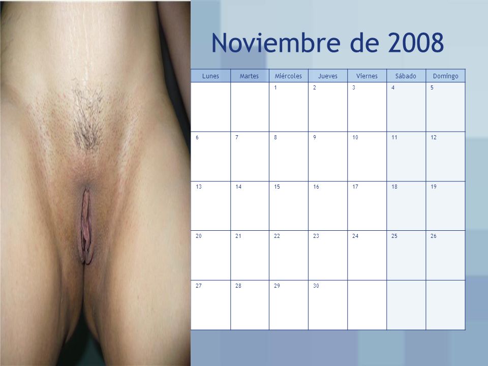 Noviembre de 2008 Lunes Martes Miércoles Jueves Viernes Sábado Domingo
