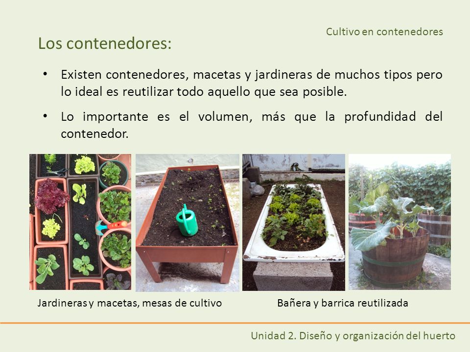 Los contenedores: Existen contenedores, macetas y jardineras de muchos tipos pero lo ideal es reutilizar todo aquello que sea posible.