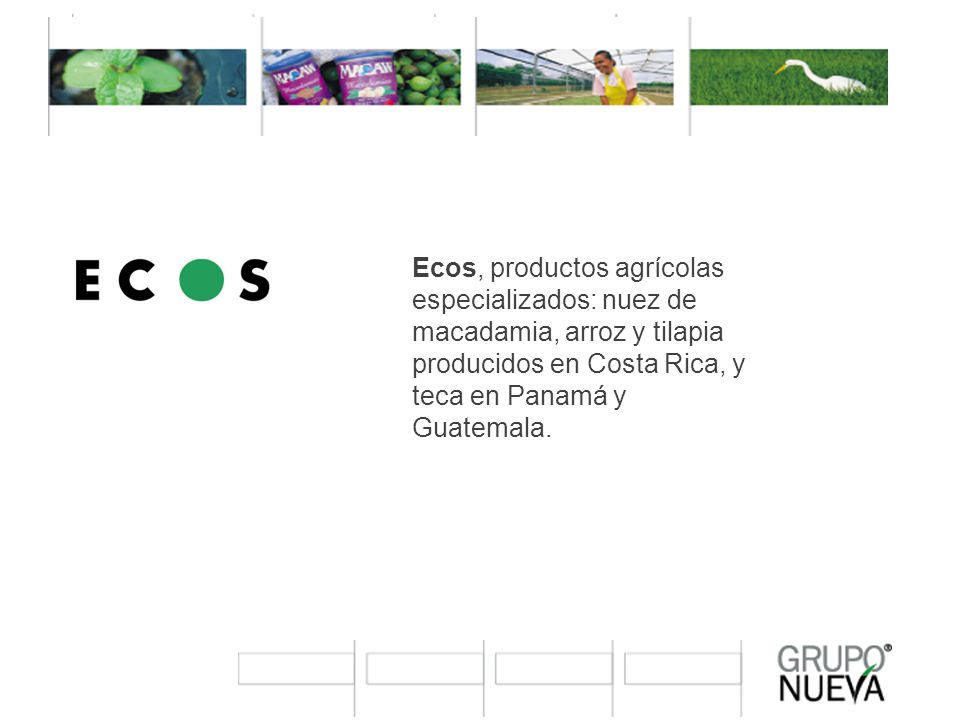 Ecos, productos agrícolas especializados: nuez de macadamia, arroz y tilapia producidos en Costa Rica, y teca en Panamá y Guatemala.