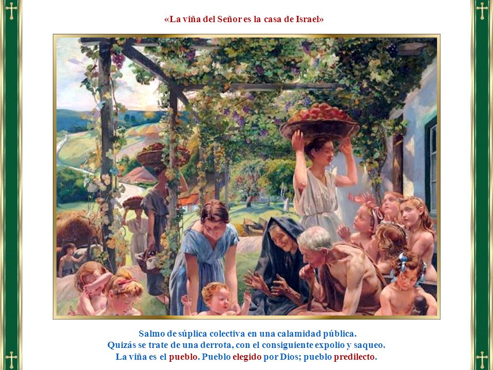 «La viña del Señor es la casa de Israel»